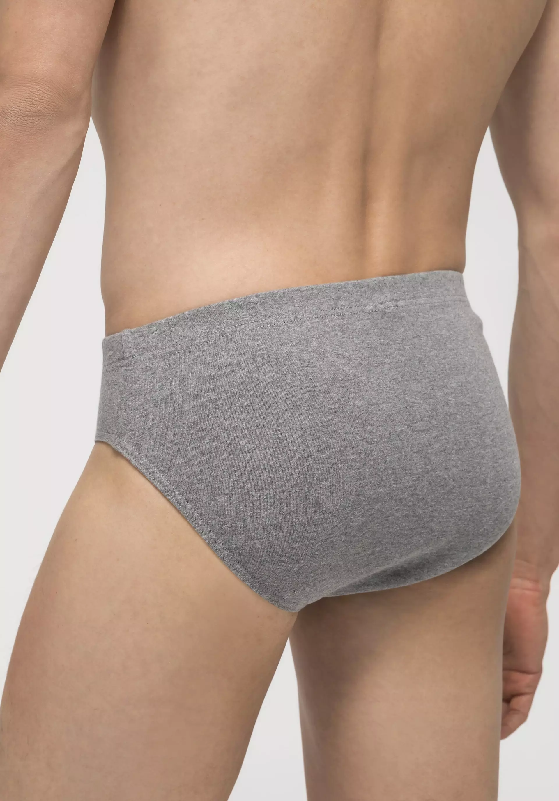 Regular cut briefs in a pack of 2 PURE NATURE made from pure organic cotton  5487127
