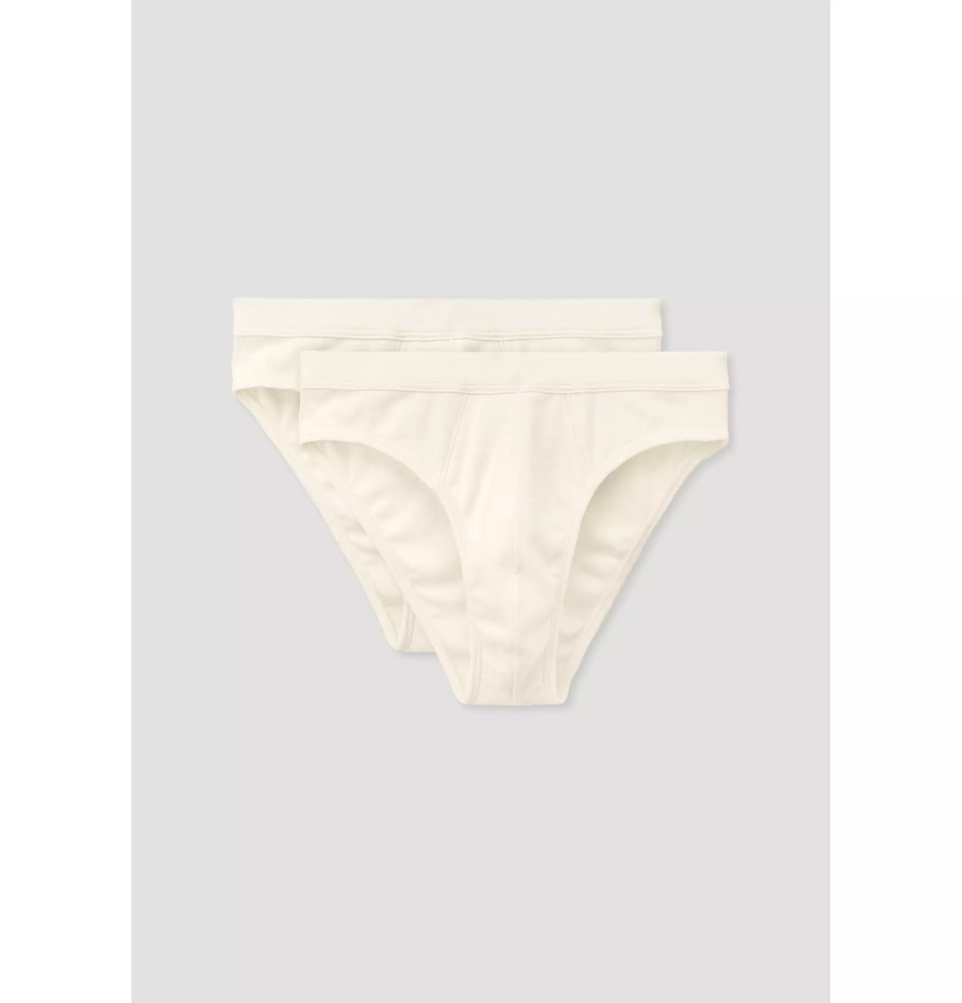 Regular cut briefs in a pack of 2 PURE NATURE made from pure organic cotton  54871