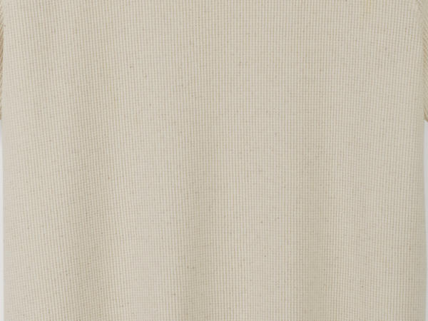 Organic cotton waffle piqué shirt with linen