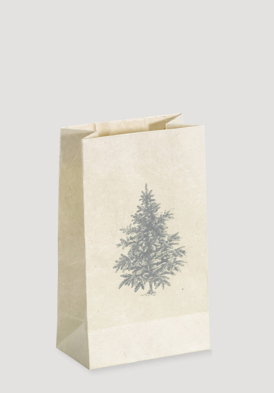 Paper gift bag Christmas, small